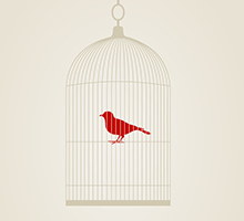 cc攻击免费网页版