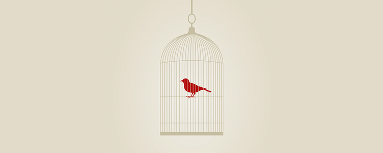 cc攻击免费网页版